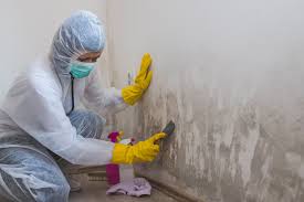 Best Mold Prevention Services  in Bonner West Riverside, MT